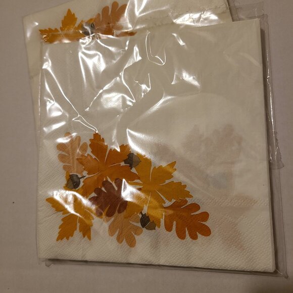 64 PIECE FALL PARTY KIT BUNDLE - Picture 8 of 9